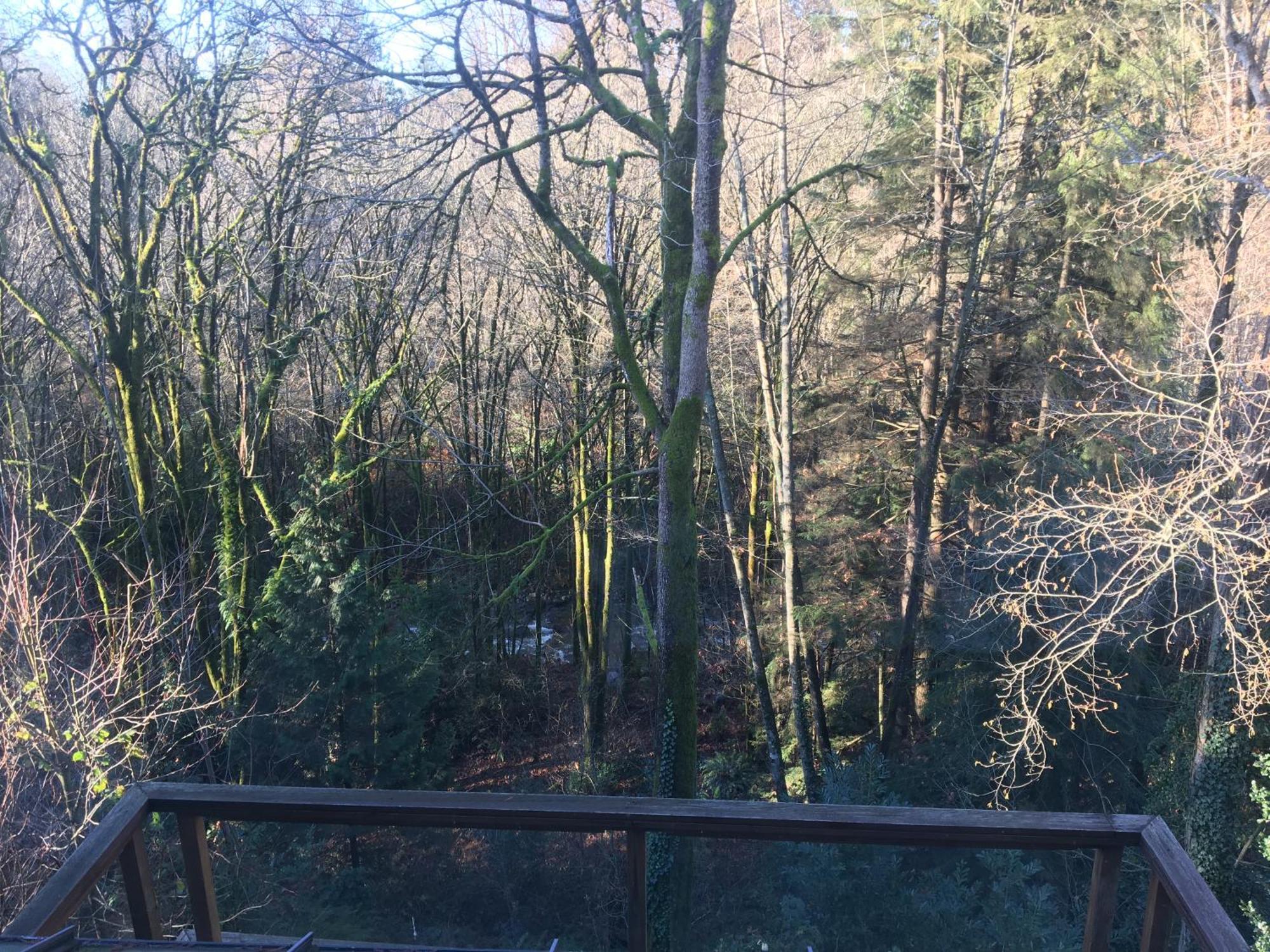 Creekside City Center Suite North Vancouver Exteriör bild