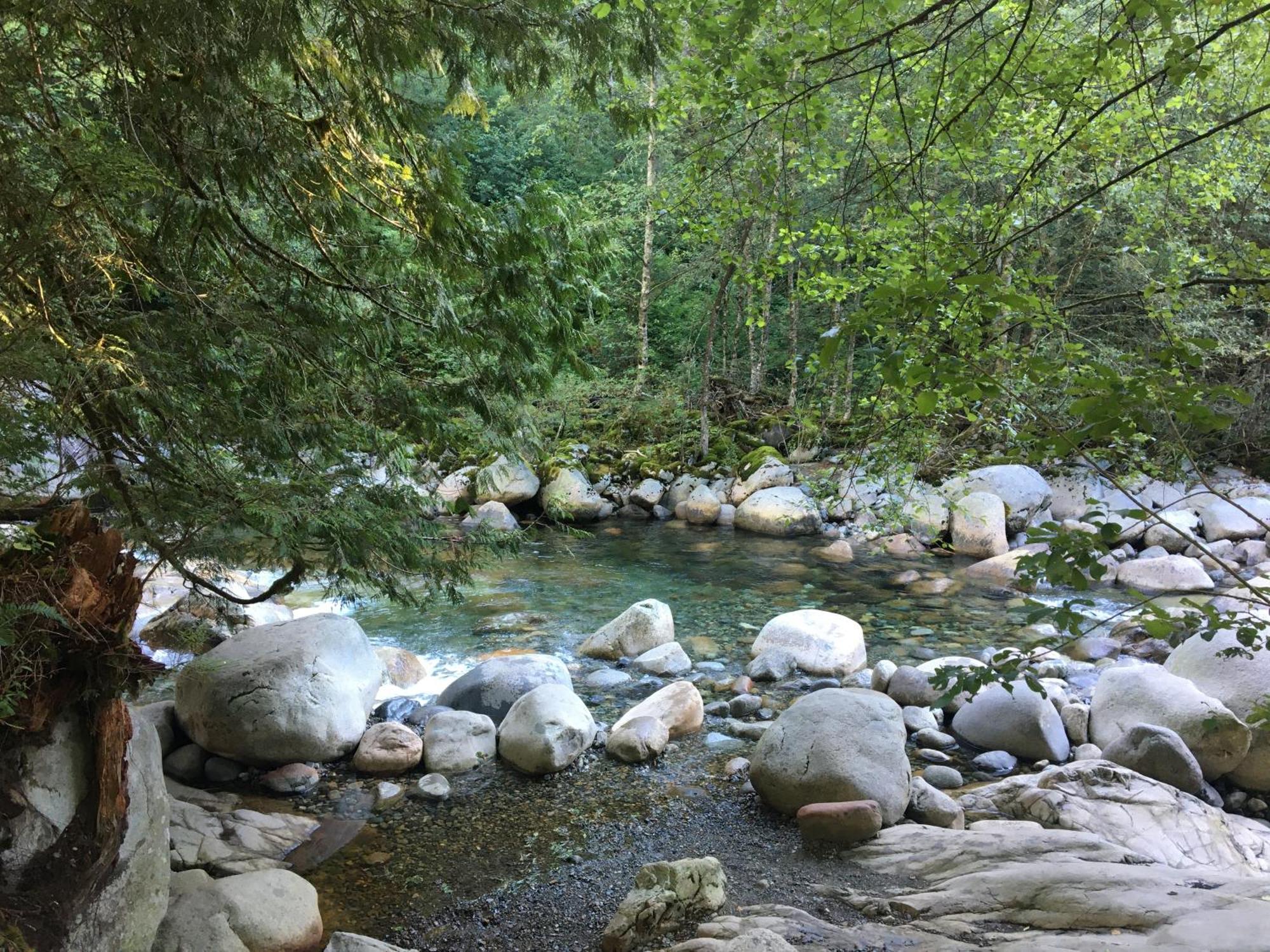 Creekside City Center Suite North Vancouver Exteriör bild